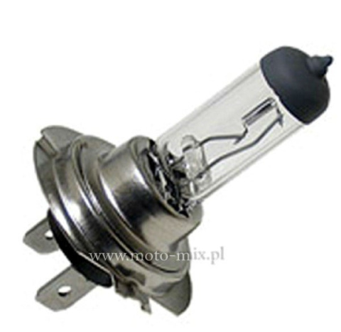 Żarówka H7 Halogen 12v 55w Żarówka H7 Halogen 12v 55w